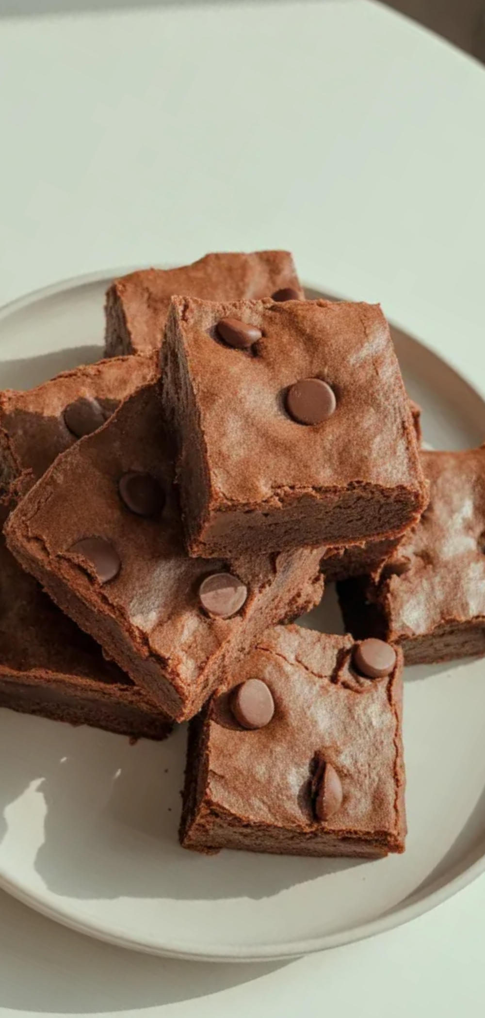Healthy homemade protein brownies with chocolate chips on top served on a minimal white background