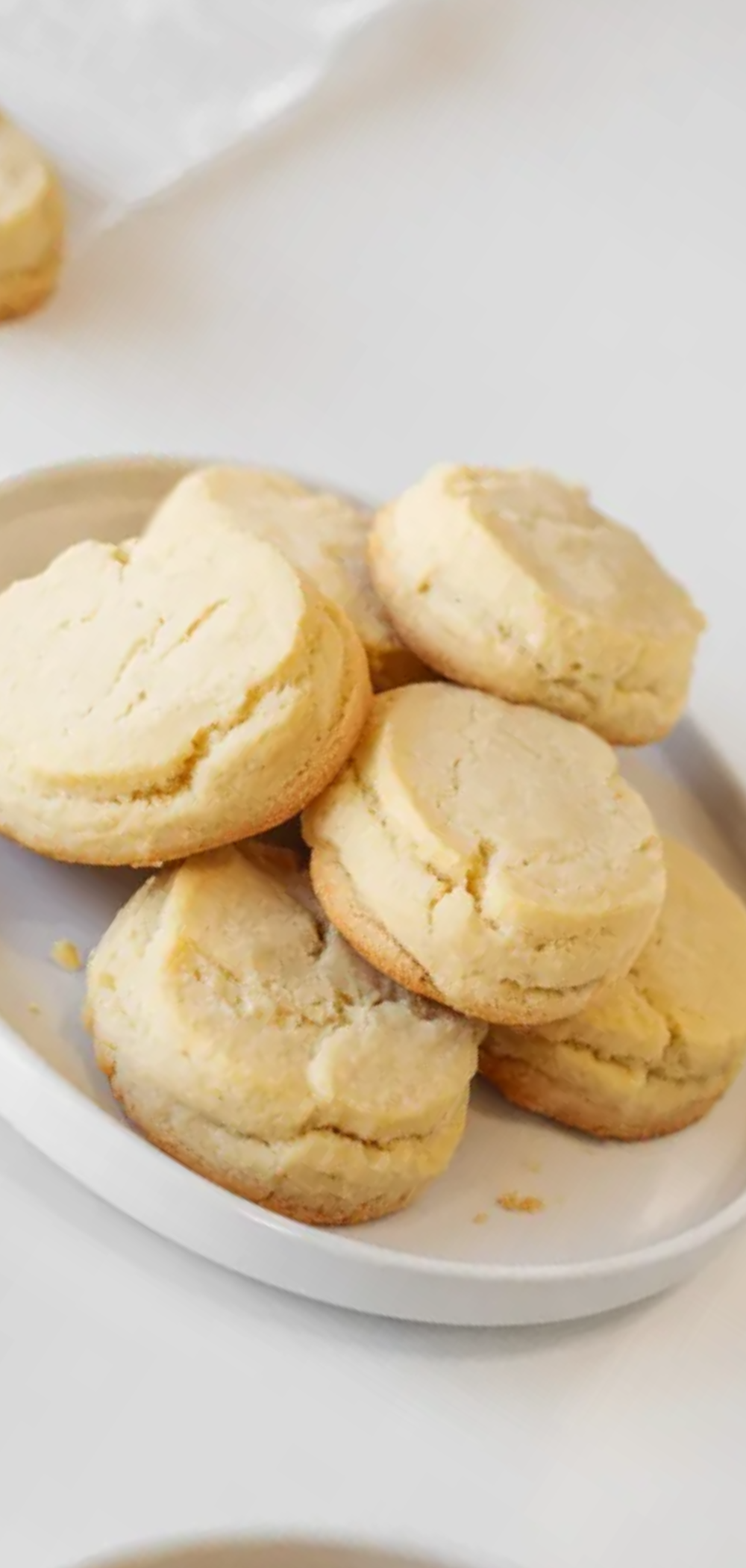 Homemade biscuit cookies with a buttery crumb texture on a white background, simple baking recipe aesthetic.

