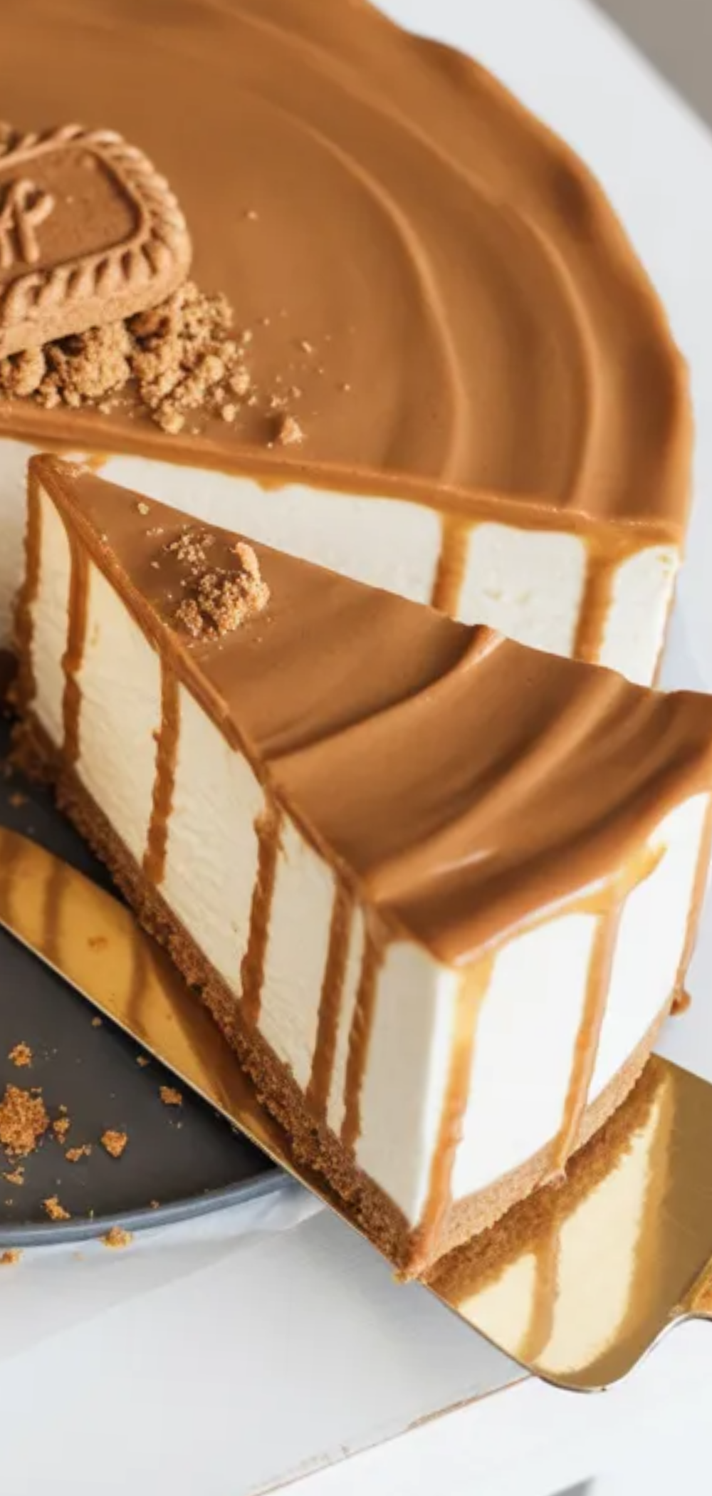 No-bake Lotus Biscoff cheesecake styled on a minimal white background, soft lighting, rich creamy filling and golden biscuit base